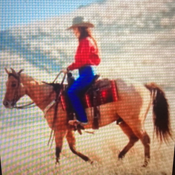 Ralph Lauren Brown Equestrian Blazer - Picture 14 of 14